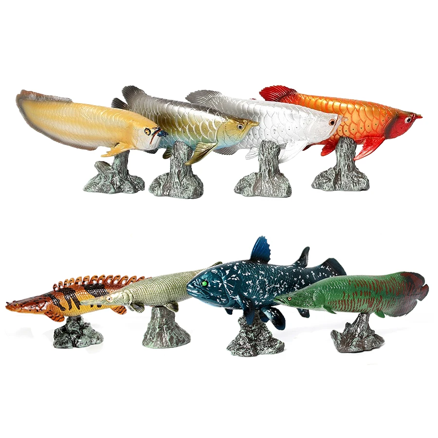 Kids Toys Reviews - Modèles de poissons Arowana, Pirarucu, Coelacanth,