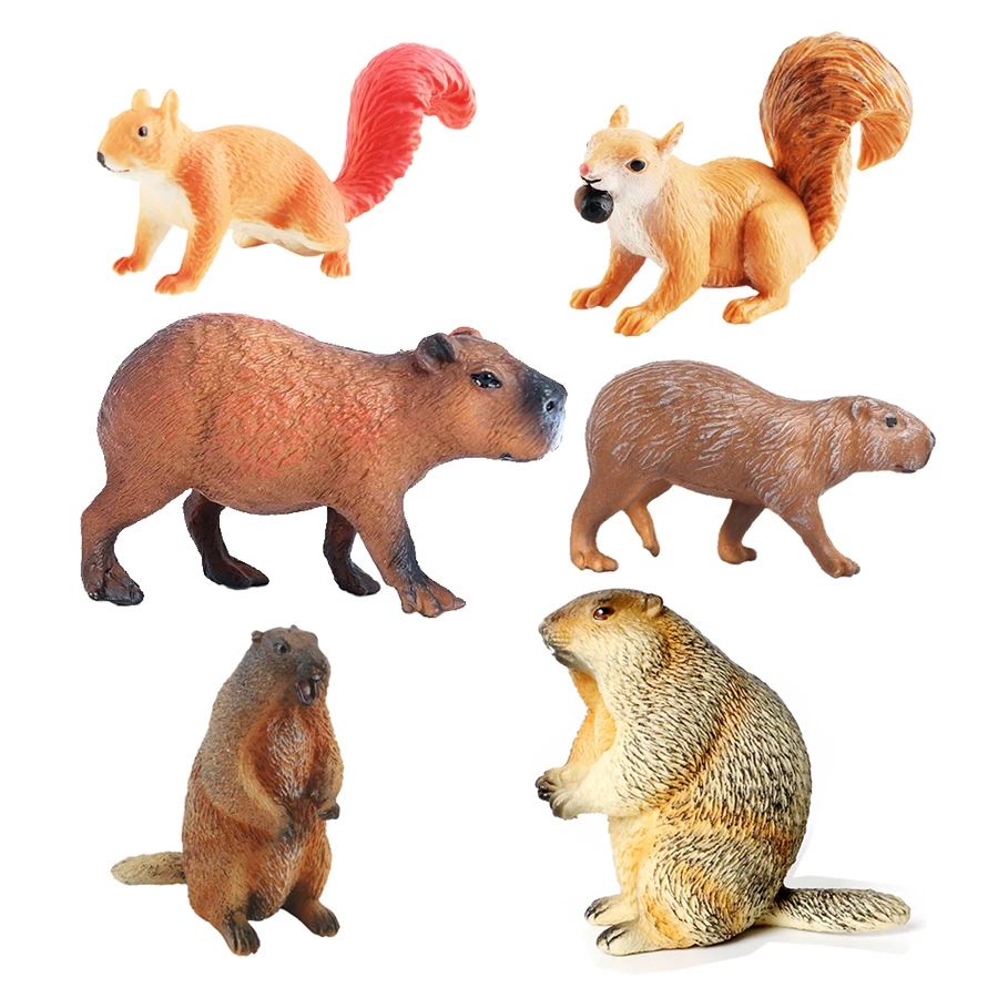 Capibara Capybaras écureuil ma - Kids Toys Reviews avis et prix
